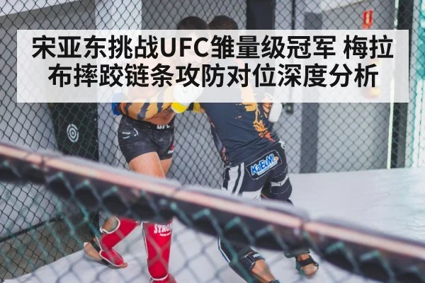 宋亚东挑战UFC雏量级冠军 梅拉布摔跤链条攻防对位深度分析